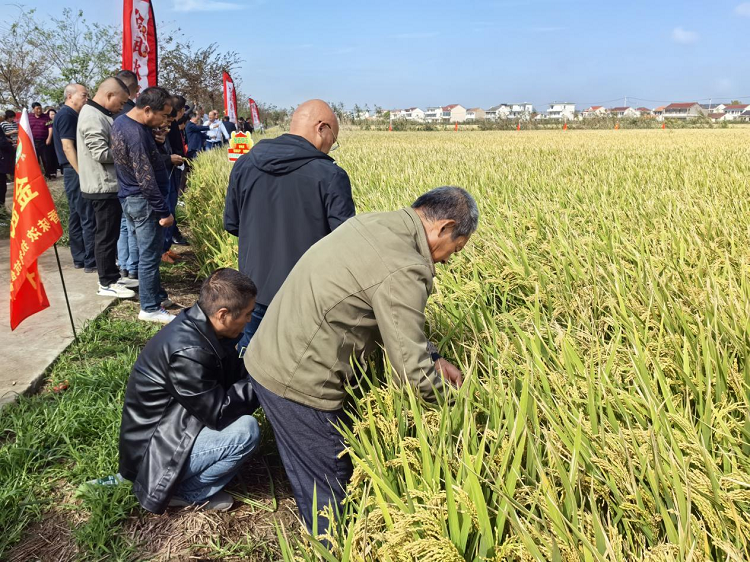 圖片1.png 圖片1.png